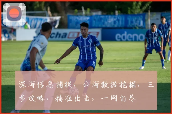 深海信息捕捉，公海数据挖掘，三步攻略，精准出击，一网打尽