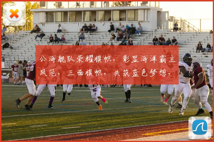 公海舰队荣耀旗帜，彰显海洋霸主风范，三面旗帜，共筑蓝色梦想，助力和平航行
