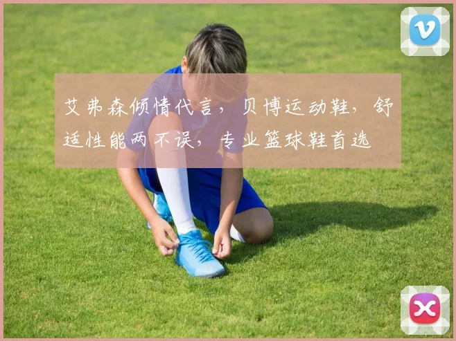 艾弗森倾情代言，贝博运动鞋，舒适性能两不误，专业篮球鞋首选