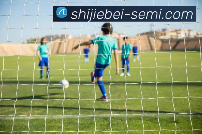 世界杯8强APP 封面图